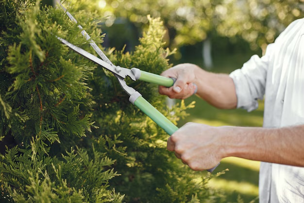 Surrey  Gardening training